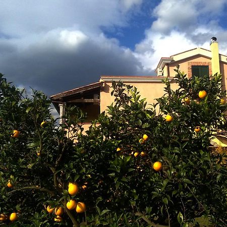 Su Canonigu Agriresort トルトリ エクステリア 写真